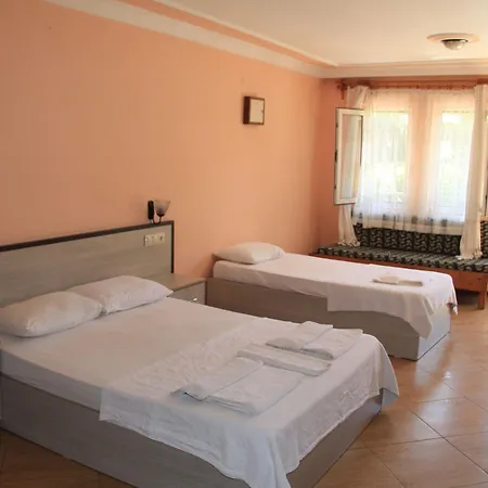 Carmina オルデニズ