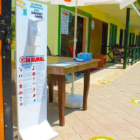 Carmina אולודניץ